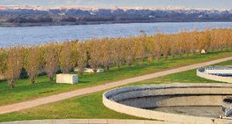 Torreon-585-pensionistas-1